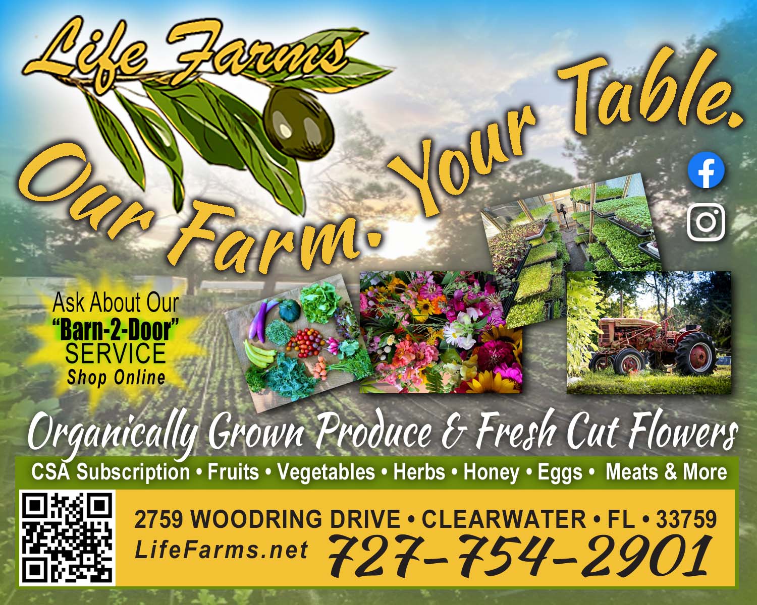 LifeFarms5X4 Pinellas
