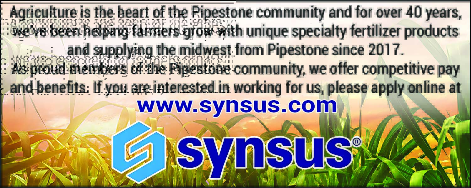 Synsus
